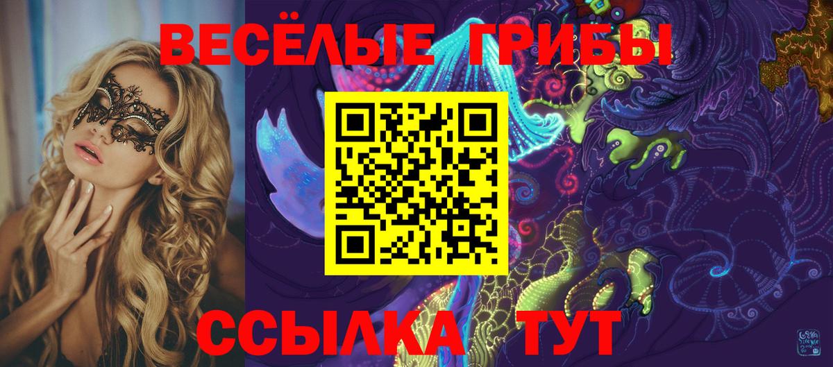 Галлюциногенные грибы MAGIC MUSHROOMS  Вход с VPN  Галлюциногенные грибы Cubensis  Гусев 